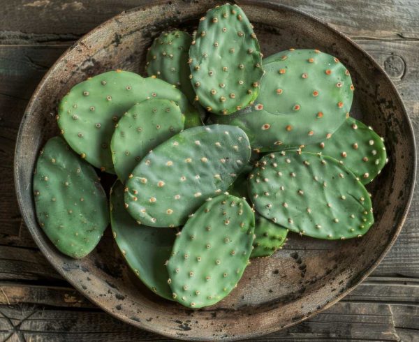 Chef de Sergipe que cria pratos com cacto é um dos convidados do III Meeting de Gastronomia